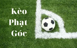 Hướng Dẫn Cách Chơi Kèo Phạt Góc Bóng Đá Chuẩn Xác Và Hiệu Quả