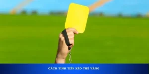 Bí Kíp Cách Chơi Kèo Thẻ Vàng Hiệu Quả Và Dễ Thắng Nhất