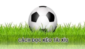 Cách Chơi Kèo Tài Xỉu Hiệp 1 Hiệu Quả Nhất Cho Cược Thủ