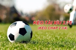 Bí Quyết Cách Chơi Kèo 2.75 (Tài Xỉu 2 3/4) Dễ Thắng Cho Người Mới