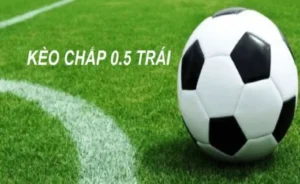 Hướng Dẫn Cách Chơi Kèo Chấp 0.5 Hiệu Quả Nhất Để Thắng Lớn