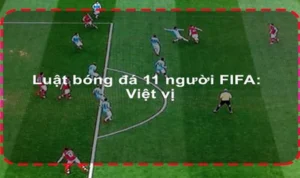 Tổng Hợp Chi Tiết Về Luật Sân Bóng Đá Thi Đấu Chuẩn Nhất Hiện Nay